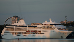 À Bordeaux, le déplacement des bateaux de croisière hors du centre-ville divise