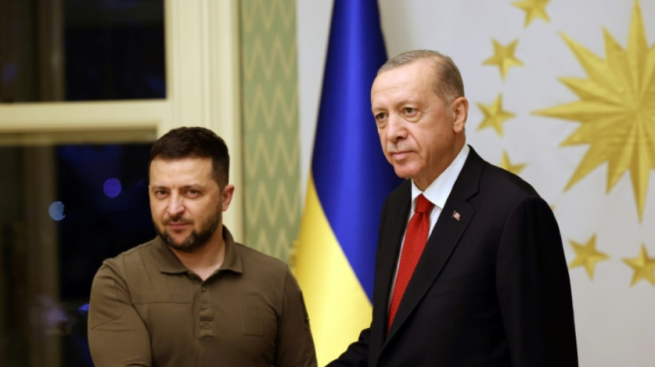 Zelensky holds Istanbul talks with Erdogan on war, Black Sea