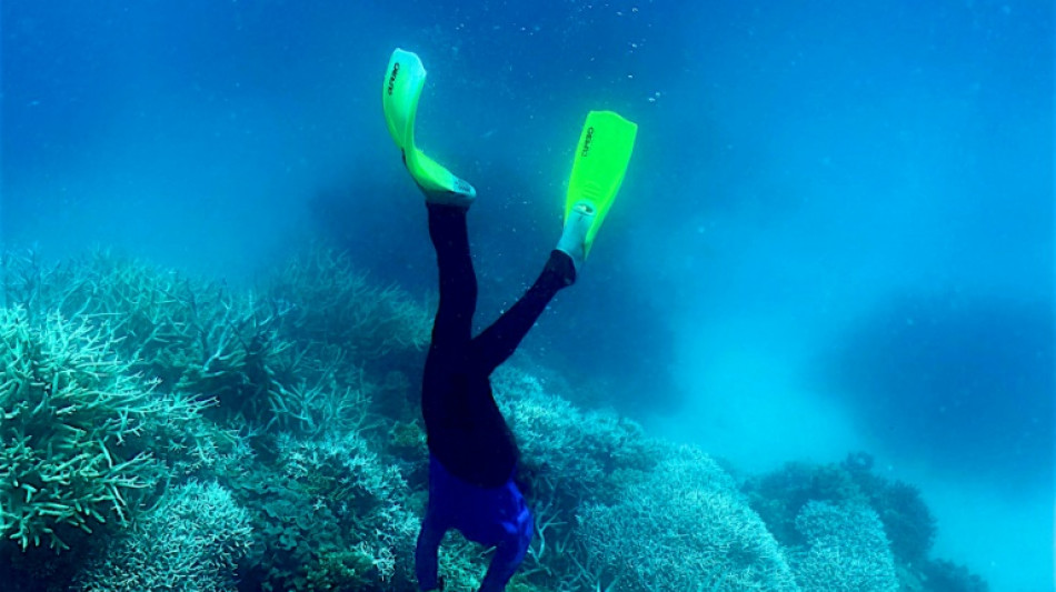 Unesco begrüßt finanzielle Zusage Australiens zum Schutz des Great Barrier Reef