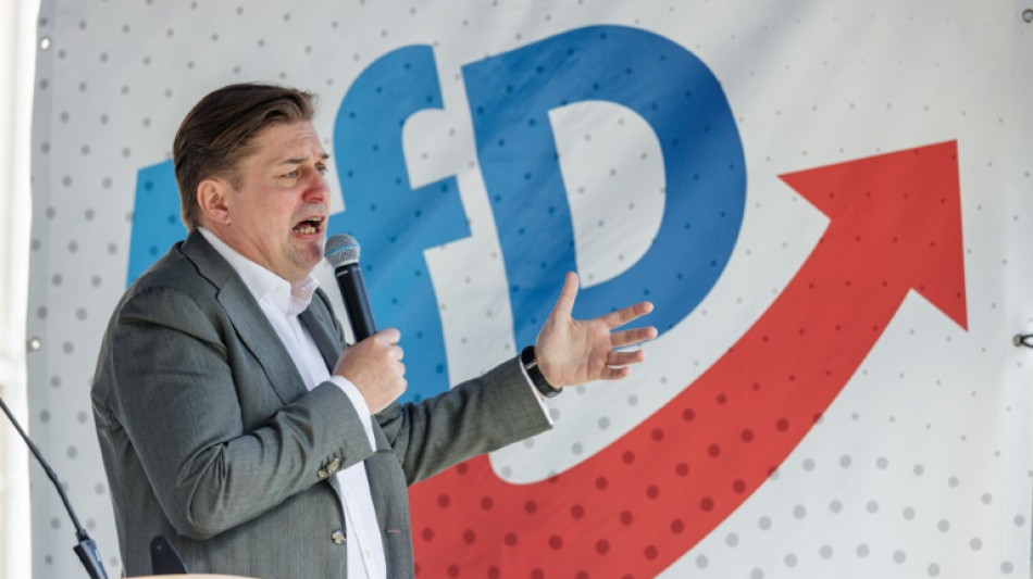 Germany's AfD bans scandal-hit lead candidate from EU election events