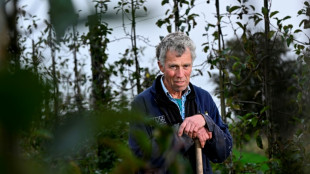 Quakes and climate: how Dutch farmers lost faith in politics