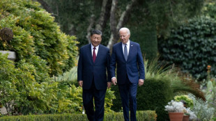 Biden hails 'real progress' as Xi summit ends with garden walk