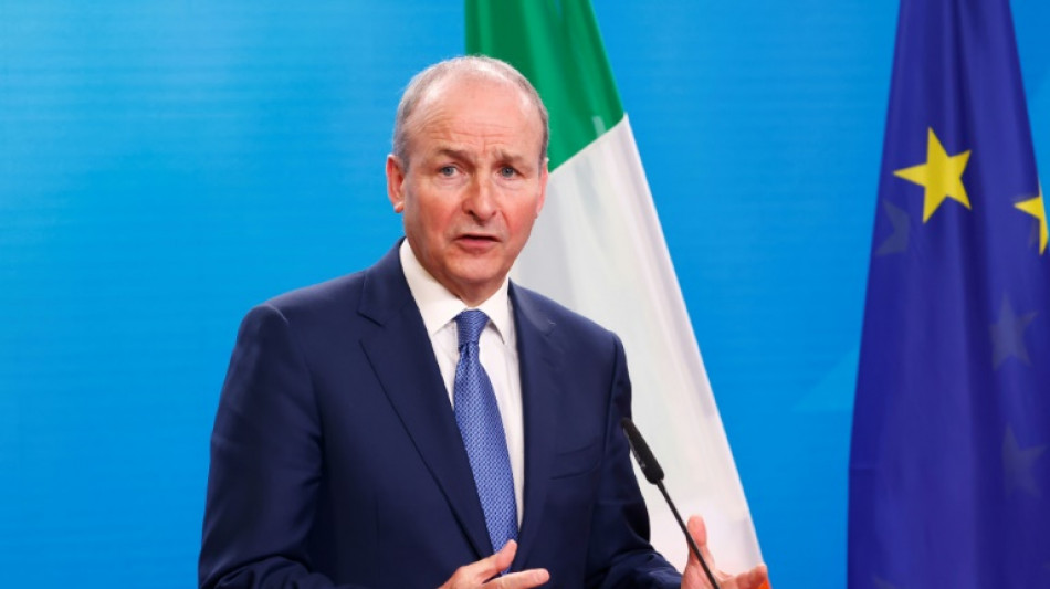 Ireland to recognise Palestinian statehood 'this month': minister