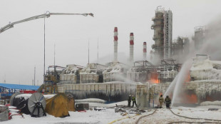 Fire breaks out at Russian gas terminal near St Petersburg