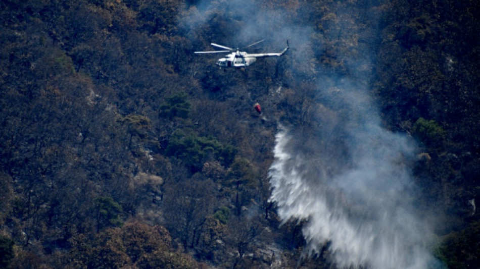 Trois incendies au Mexique touché par la sécheresse