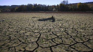 Las sequías de larga duración serán la "nueva normalidad" climática, advierte la ONU