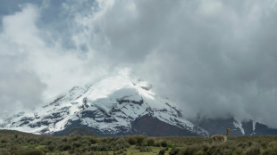 Canadian woman dies in avalanche on Ecuador volcano: officials