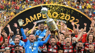 Flamengo e Palmeiras lideram premiações da Libertadores desde 2016