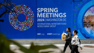 IMF says global debt levels face 'Great Election Year' risk