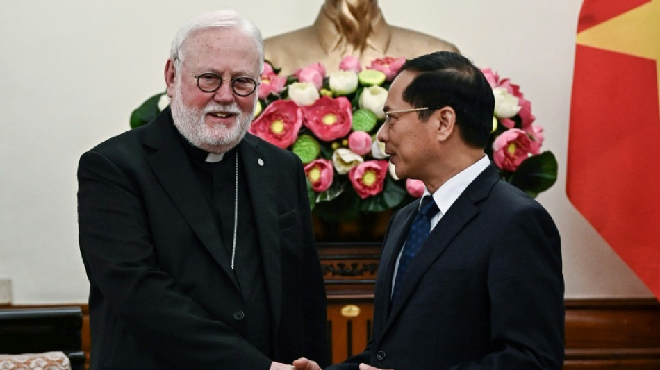 Vatican foreign minister in Vietnam ahead of possible Pope Francis trip