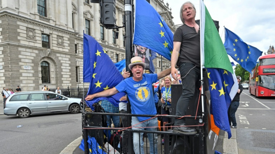 'Noisy' anti-Brexit protester silenced outside UK parliament