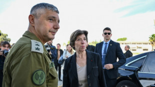 French top diplomat calls for 'immediate and durable' Gaza truce