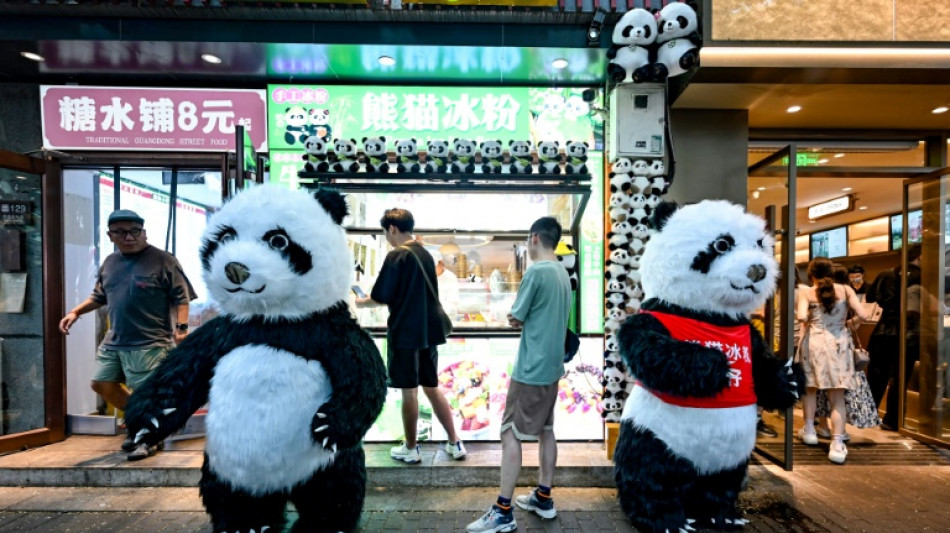 Hong Kong welcomes birth of first giant panda cubs