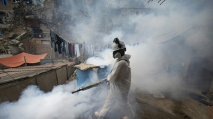 Con brigadas sanitarias, Perú busca controlar dengue que deja 79 muertos y 73 mil contagios