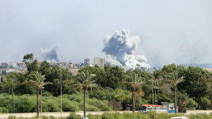 Israelische Armee: Dutzende Hisbollah-Ziele im Südlibanon getroffen