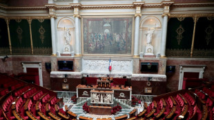 Législatives: les tractations se poursuivent, la gauche ravivée débarque à l'Assemblée