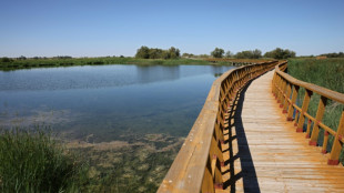 El agua, una cuestión clave que divide antes de las elecciones en España