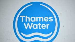 Thames Water says needs more time for financial turnaround