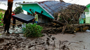 Inondations au Brésil: à l'heure du réchauffement, des dégâts d'une ampleur inhabituelle