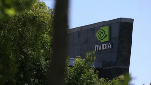 Wall Street gains on Nvidia results while eurozone stocks lifted by survey