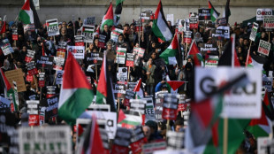 UK police out in force for 'tense' pro-Palestinian march