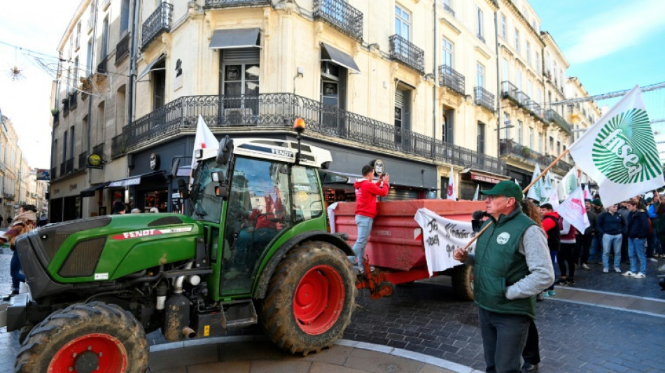 'Agriculture is dying': French farmers protest EU-Mercosur deal