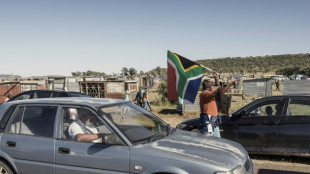 Land grab underlines housing crisis ahead of South Africa poll