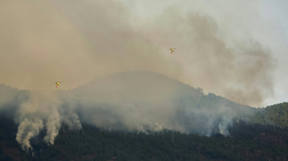 Incendio evoluciona "de forma positiva" en isla española de Tenerife