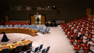 UN assembly moves past Security Council to take lead on Gaza