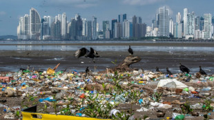 Conferencia mundial de los océanos comienza en Panamá con llamados a la conservación y anuncios de fondos millonarios