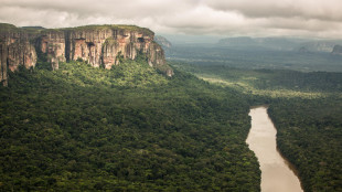 L'Oms lancia l'allarme per il virus Oropouche in Amazzonia