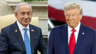 Netanyahu aborda en Washington la segunda fase del alto el fuego en Gaza