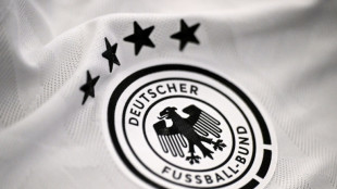 Berlin says German FA lacks 'patriotism' for dropping Adidas