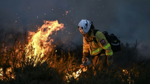 Au Portugal, le "feu des ancêtres" pour réapprendre la lutte contre les incendies