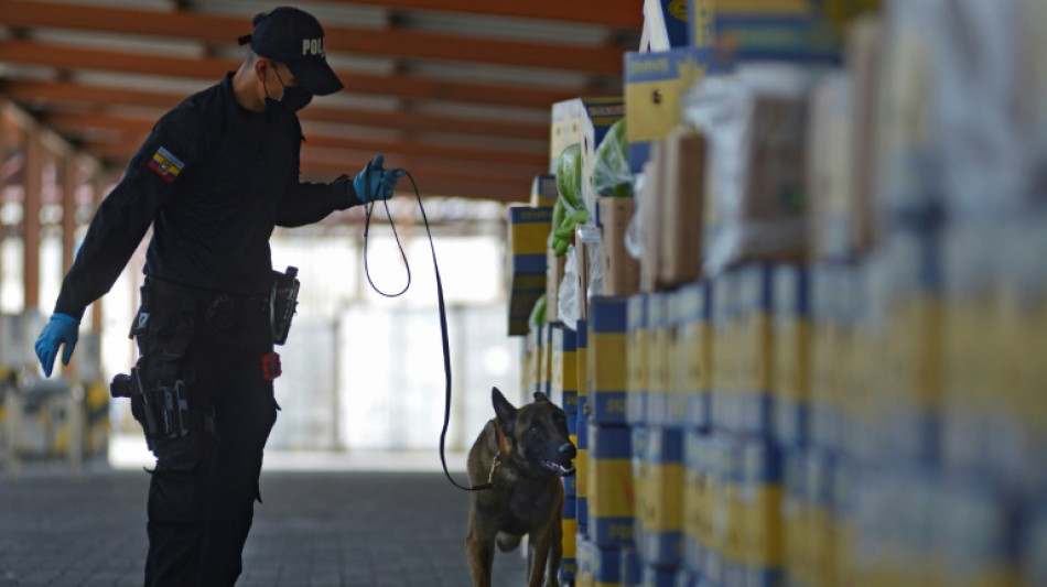 Hidden in bananas and tea, cocaine departs Ecuador port by the ton