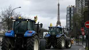 France, Poland lead new wave of European farmer anger