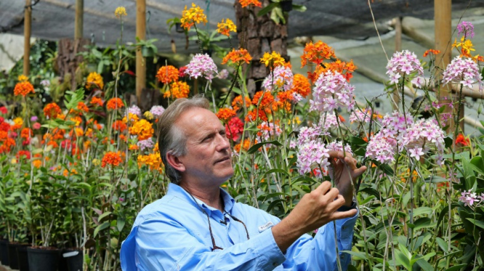 Un colombiano clona orquídeas al borde de la extinción