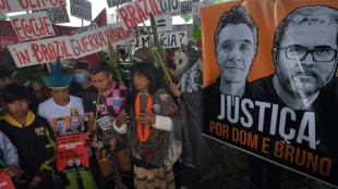 Latin America bears brunt of land activist murders: NGO