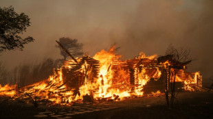 Multiplication des incendies de forêt en Grèce 