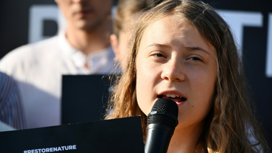 Greta Thunberg goes on trial over Swedish climate protest 