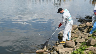 Schon hundert Tonnen toter Fisch aus polnischer Oder geholt