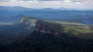 Científicos simularán el cambio climático en la Amazonía para estudiar sus efectos