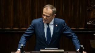 Poland's Tusk calls for 'stronger' EU, Ukraine support 