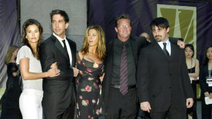 Aniston, Schwimmer add tributes to 'Friends' co-star Perry