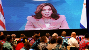 US VP Harris launches $600m push into the Pacific