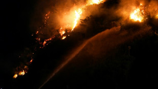 Incendio forestal en el turístico barrio de Copacabana, en Rio