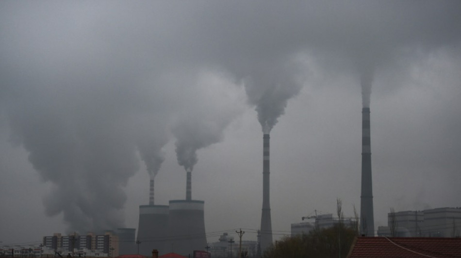 G20 per capita coal emissions growing: research