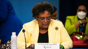 Barbados wins first loan deal from IMF climate change fund