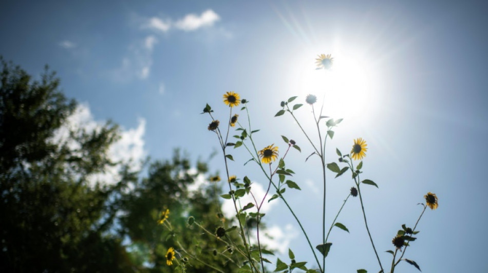 At least 13 die in extreme heat wave in US