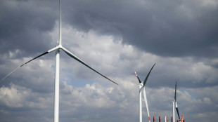 EU deal to nearly double renewable energy by 2030